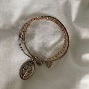 Alex and Ani Bracelets (Set of Two)